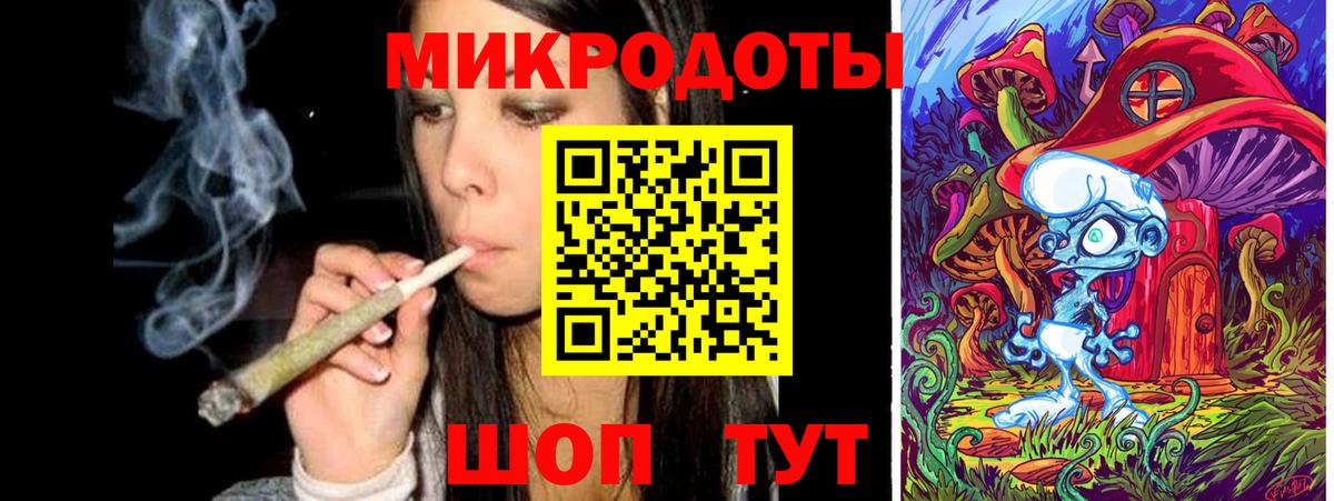 Галлюциногенные грибы Psilocybine cubensis Михайловск