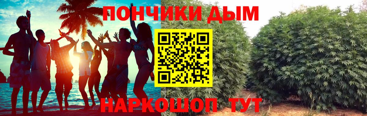 Каннабис план Михайловск